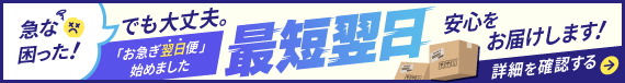 お急ぎ翌日便スタート！