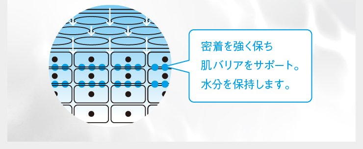 BHEパワーモイスト・セラム