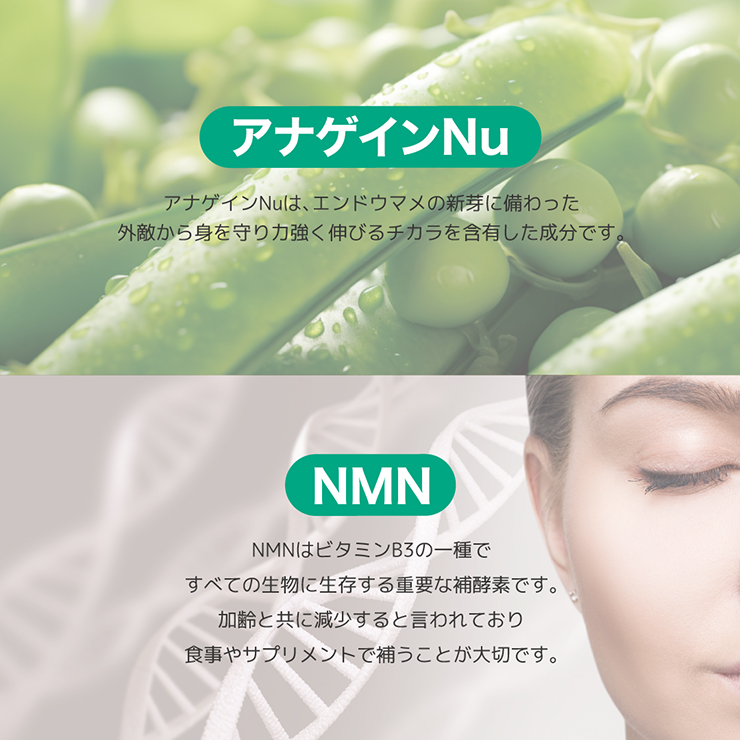 ボリュームαサプリメント 男性用(ドクターゼロ)通販|育毛 ボリュームαサプリメント 男性用(ドクターゼロ)通販|育毛