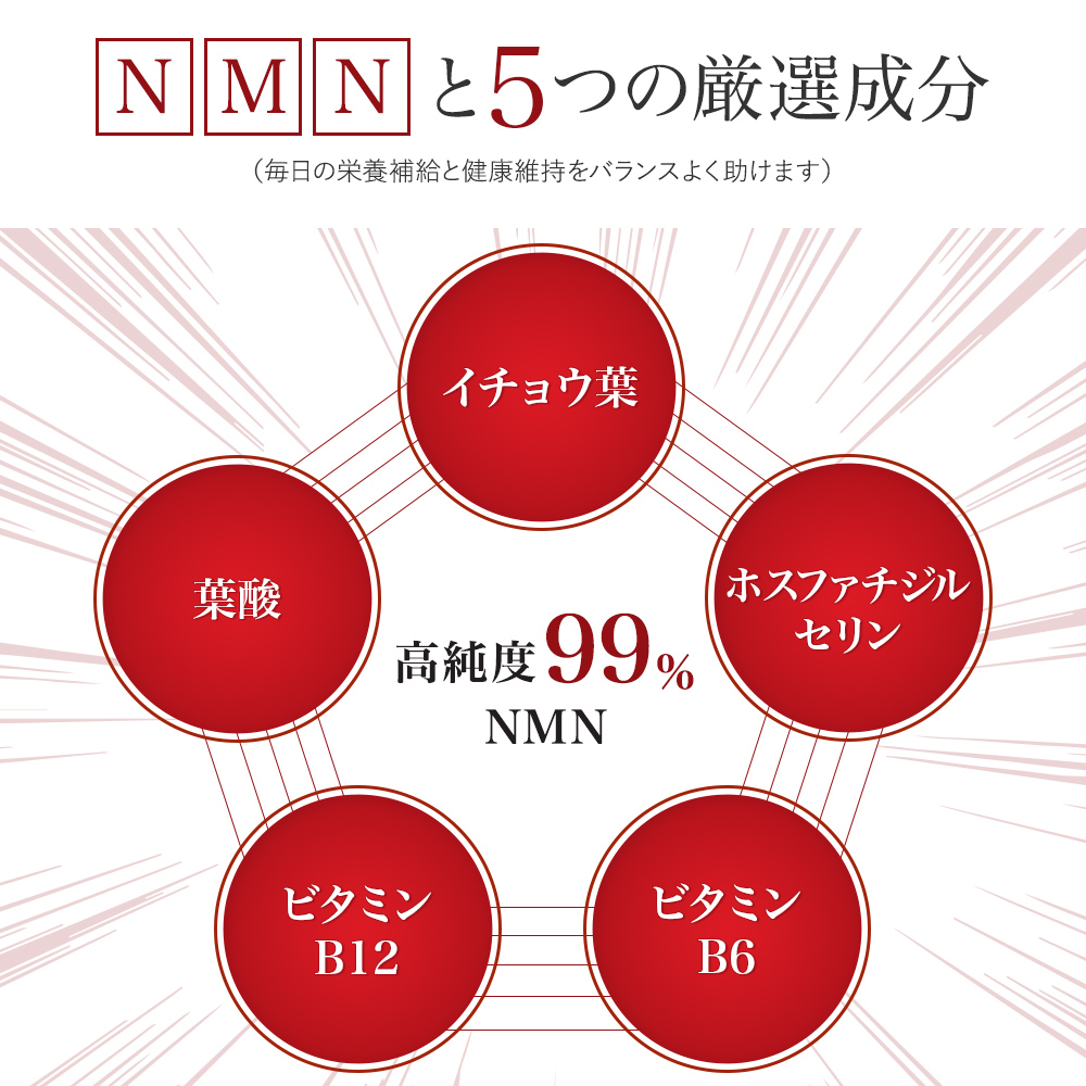 NMNプレミア120錠(バイタルミープレミアム) ：2