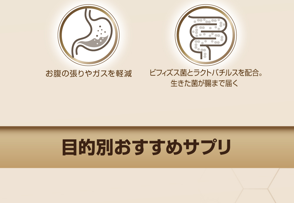 (Watslife)プロバイオティクスシリーズ：5